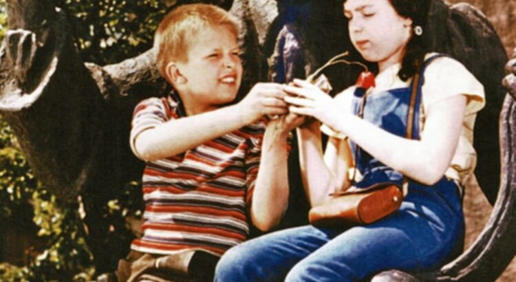 Plakat von "Alfons Zitterbacke"