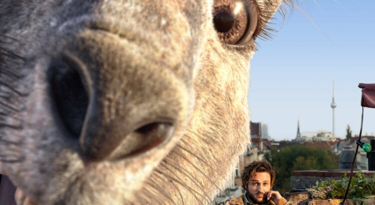 Plakat von "Die Känguru-Chroniken"